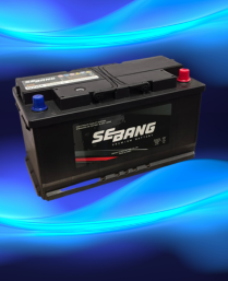 AGM Battery